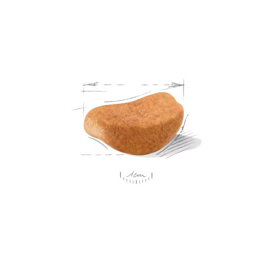 BHN ROTTWEILER ADULT 12K Dry Food Royal Canin