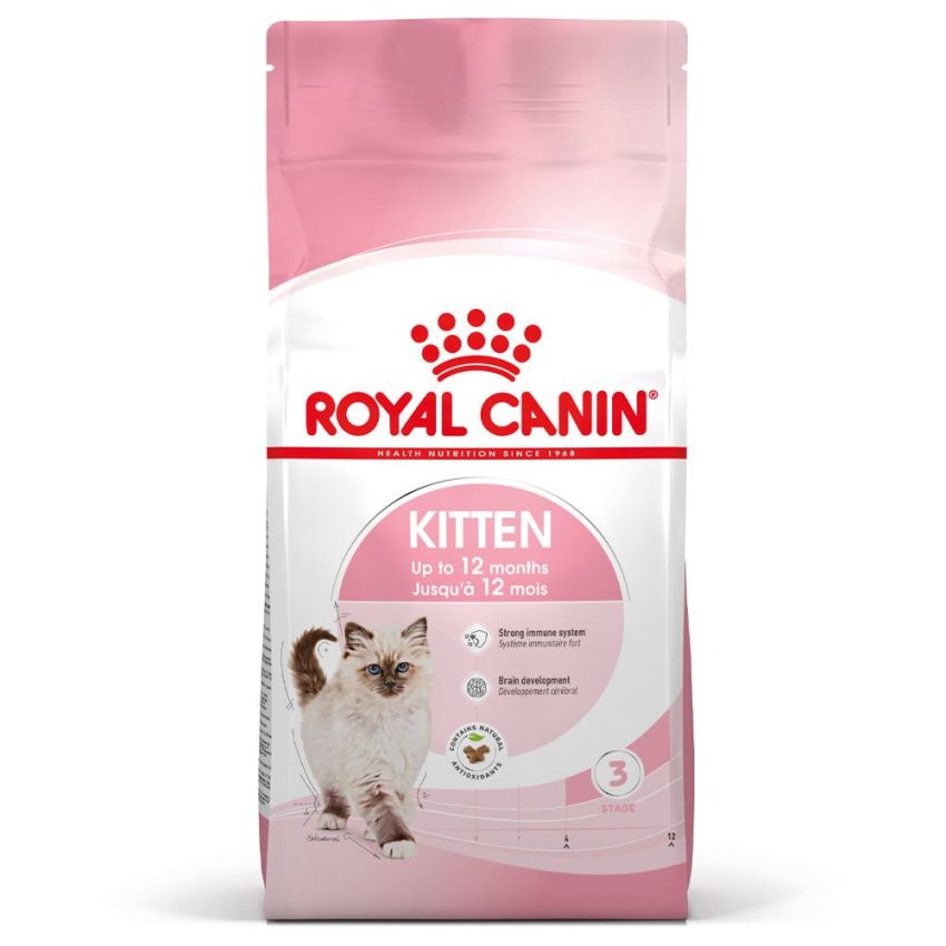 FHN KITTEN 36 Royal Canine Dry Food