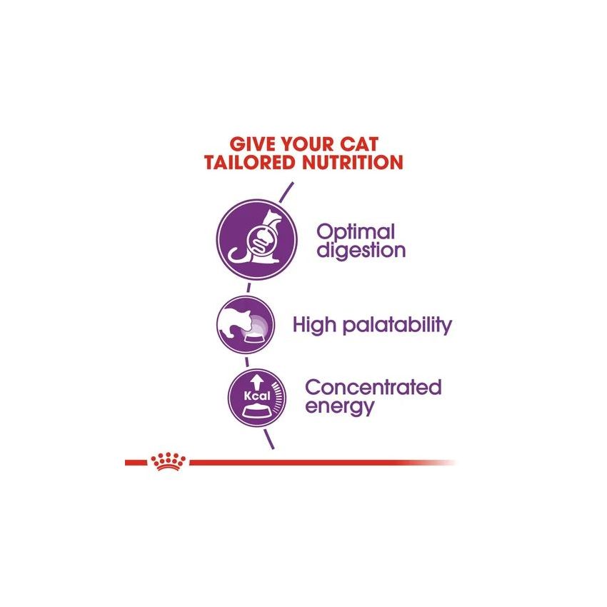 FHN SENSIBLE 33 Royal Canine Dry Food