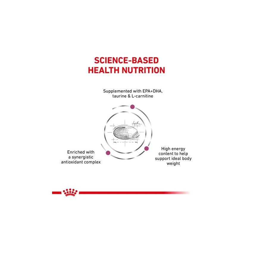 VHN DOG CARDIAC 14KG