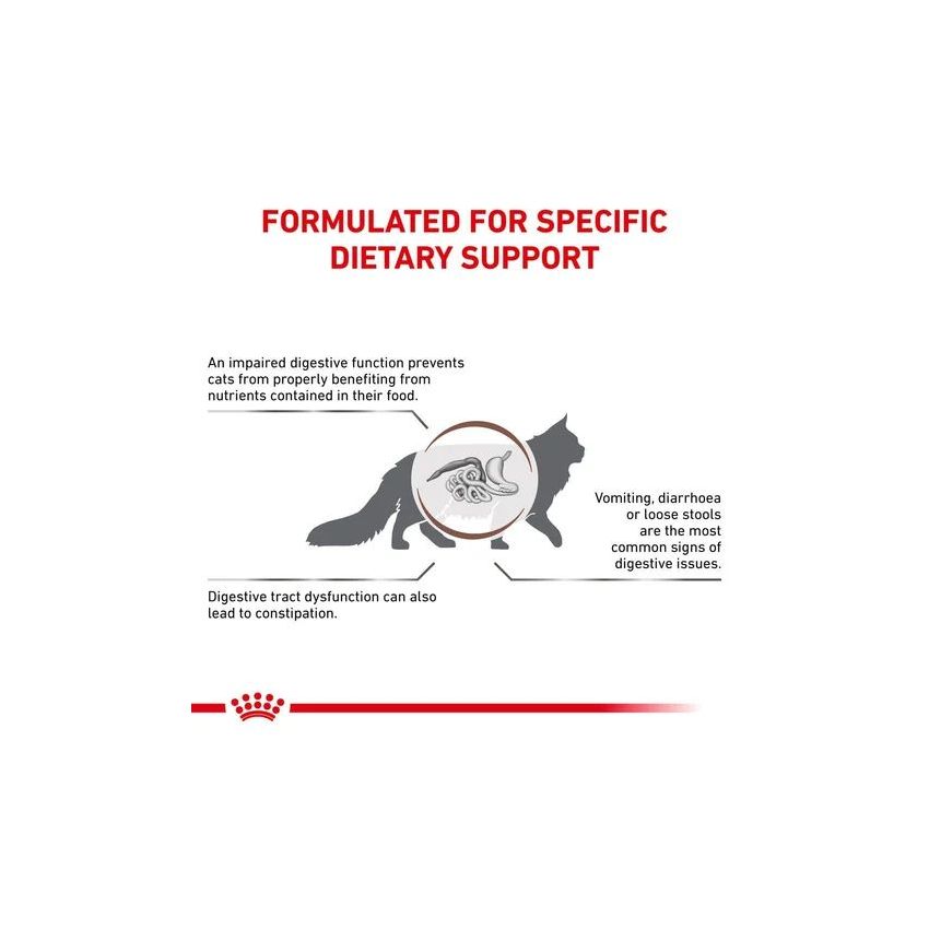 VHN CAT FIBER RESPONSE Royal Canin