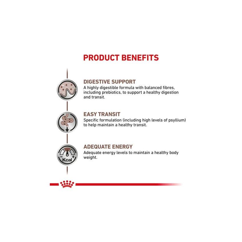 VHN CAT FIBER RESPONSE Royal Canin