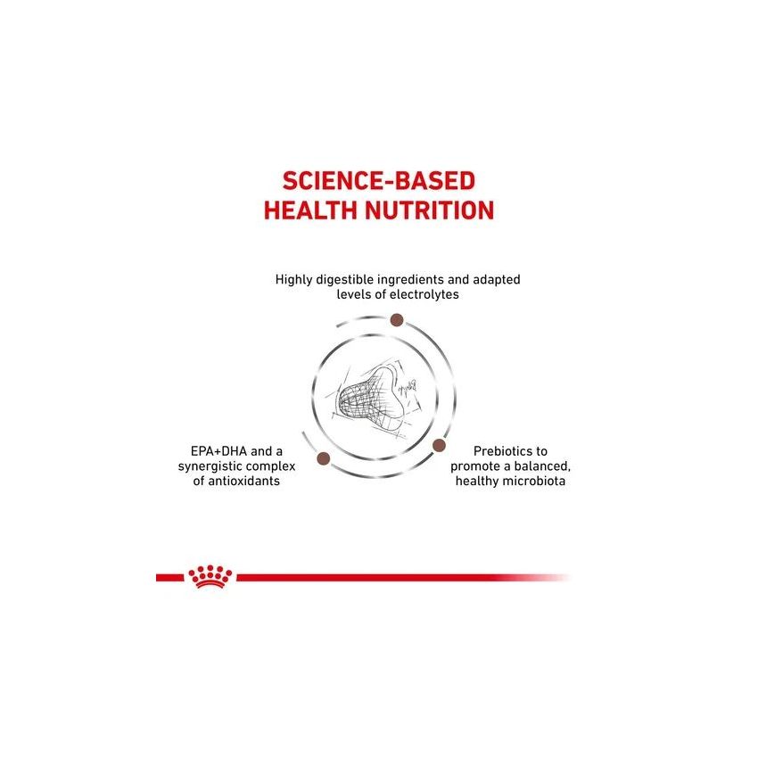 VHN CAT FIBER RESPONSE Royal Canin