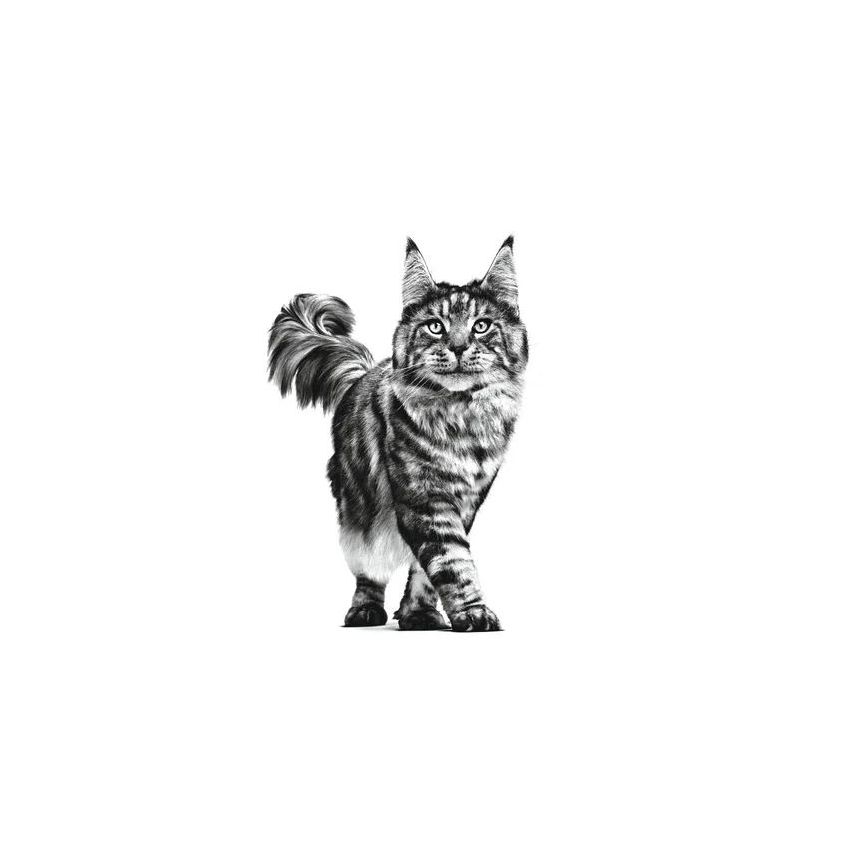 VHN CAT FIBER RESPONSE Royal Canin