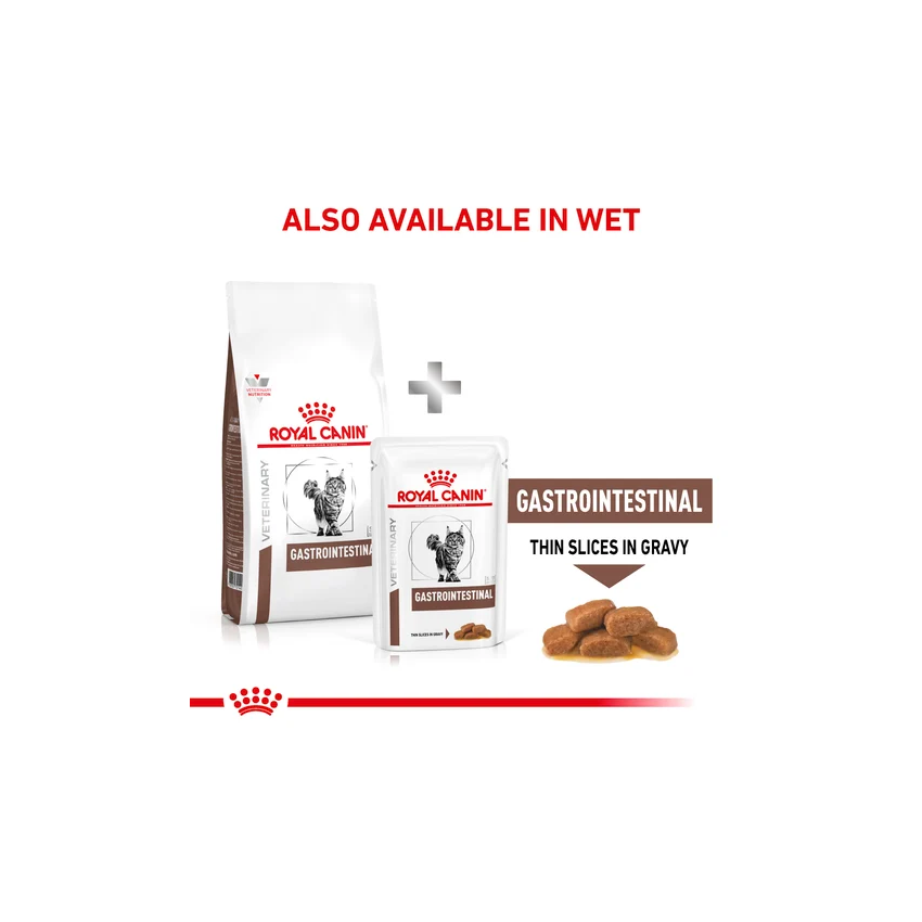 VHN GASTROINTESTINAL FELIN Royal Canin