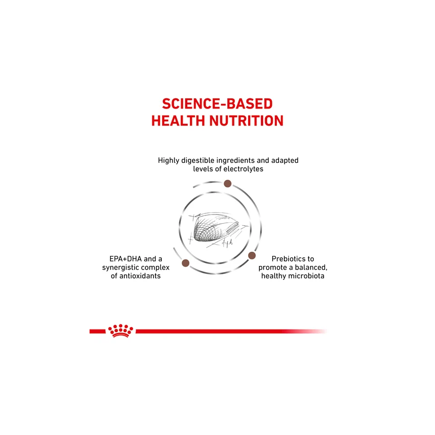 VHN GASTROINTESTINAL FELIN Royal Canin