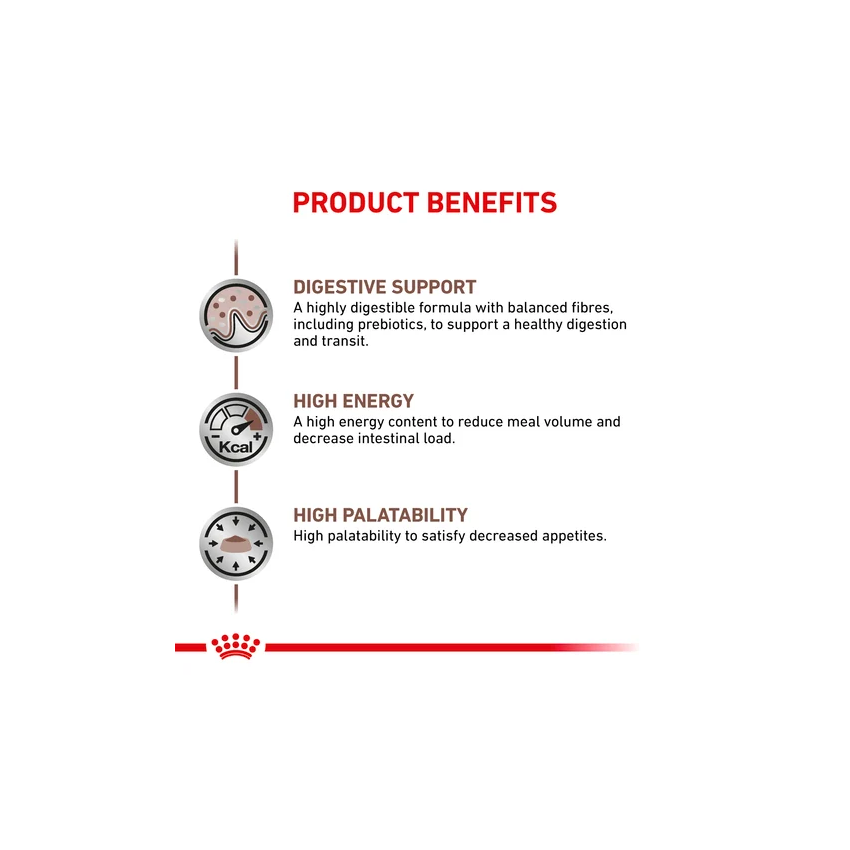 VHN GASTROINTESTINAL FELIN Royal Canin