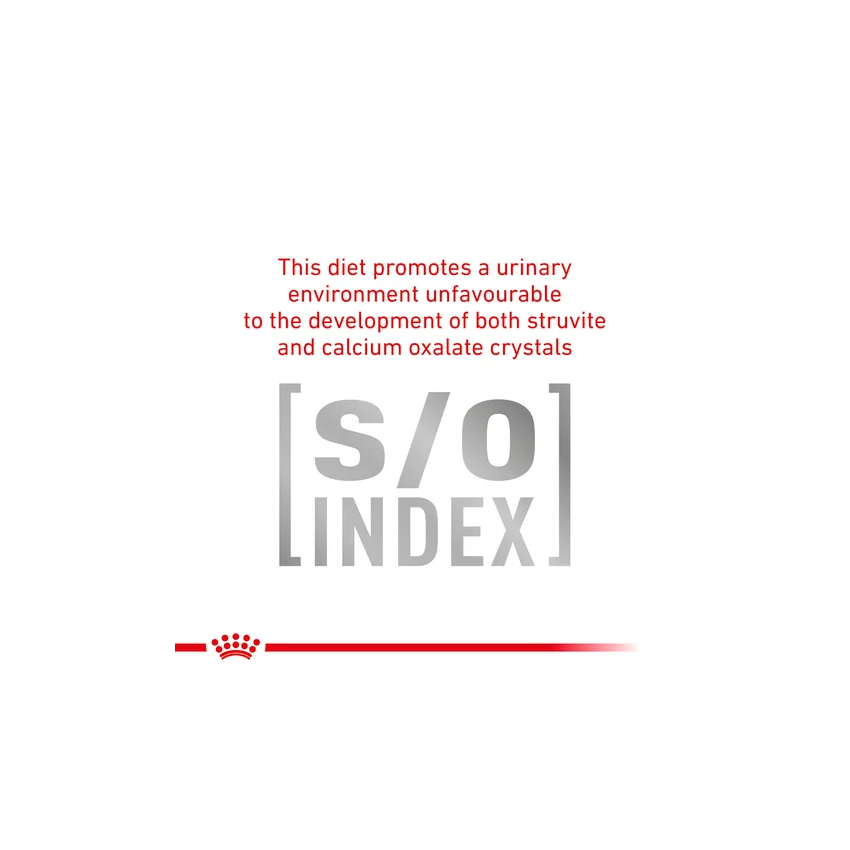 VHN GASTROINTESTINAL FELIN Royal Canin