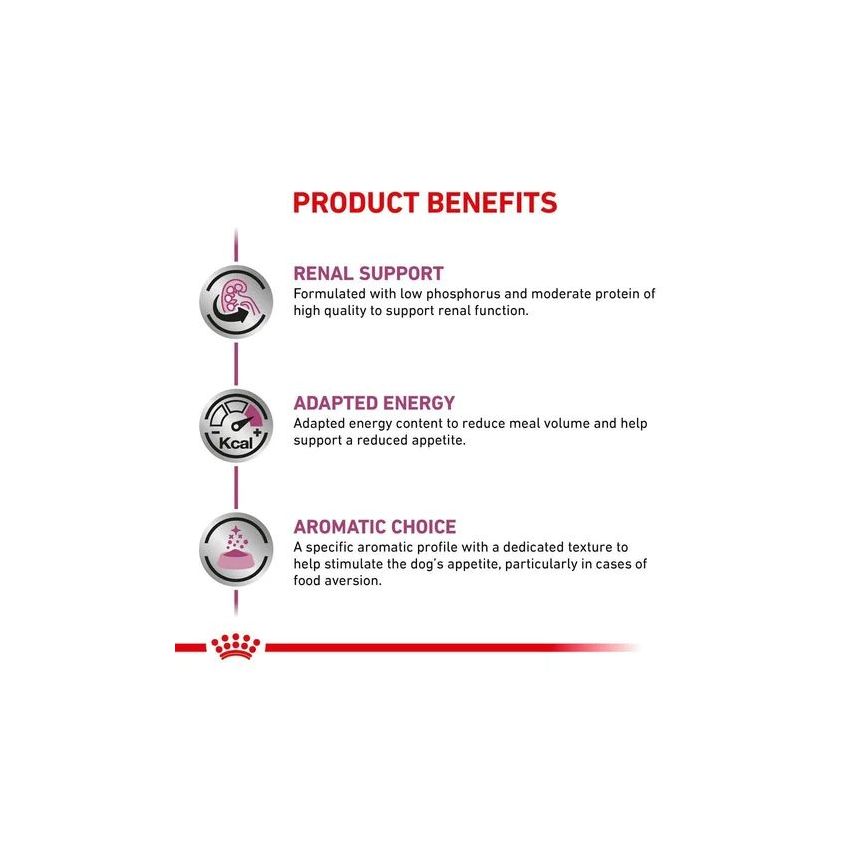 VHN RENAL DOG CANS 410G*12