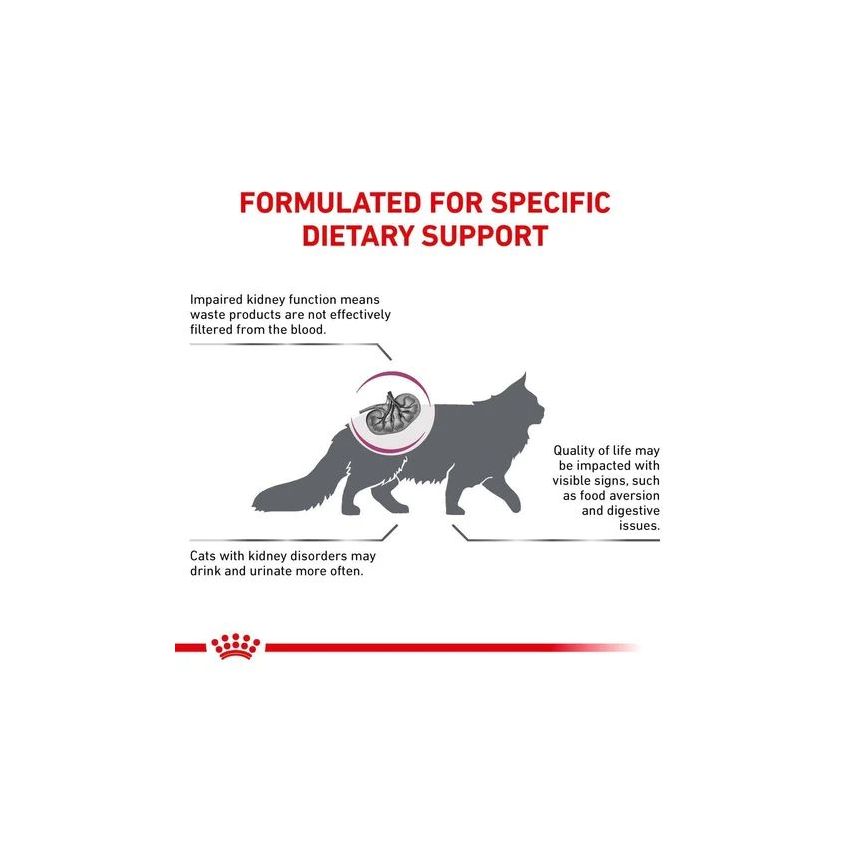 VHN F RENAL SPECIAL Royal Canin