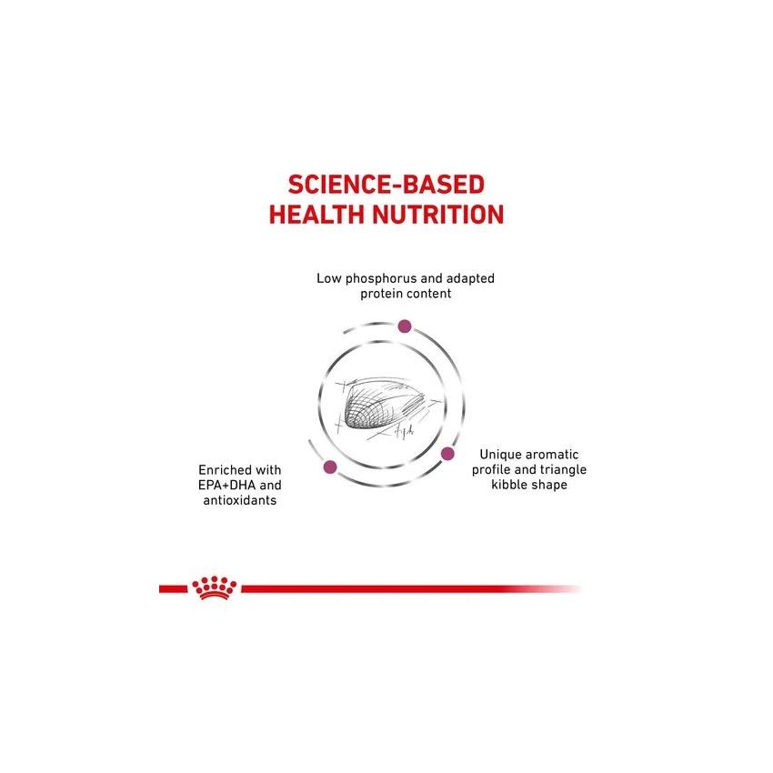 VHN F RENAL SPECIAL Royal Canin