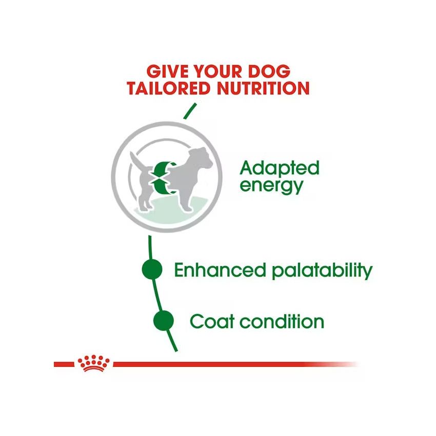 SHN MINI ADULT Dry Food Royal Canin