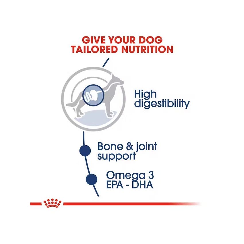 ROYAL CANIN MAXI ADULT 10X140G