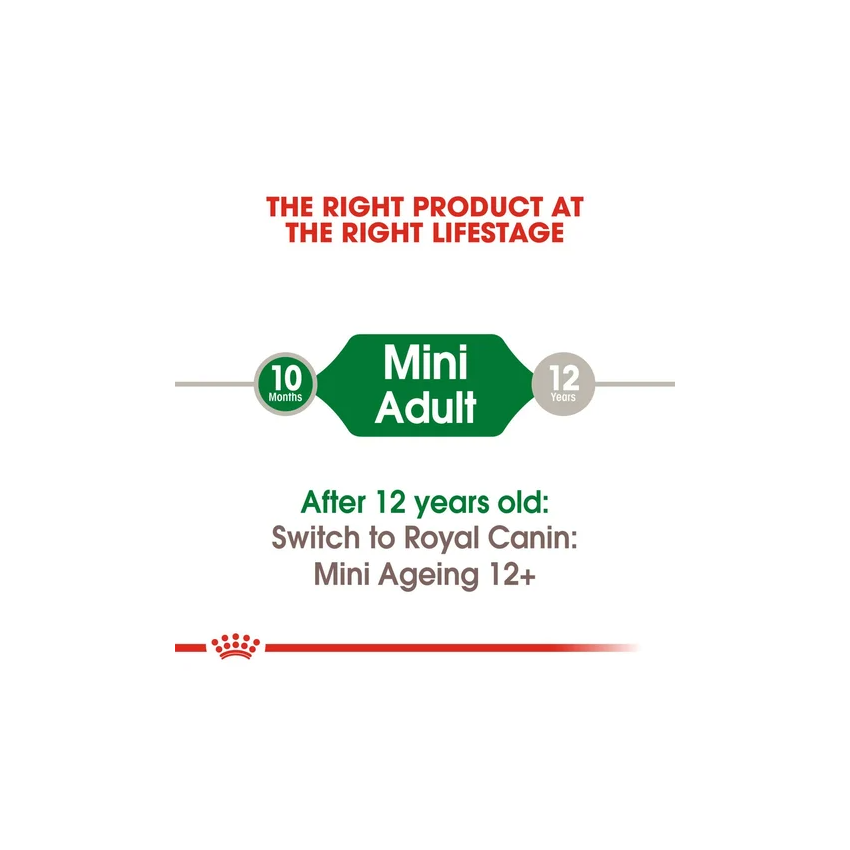 ROYAL CANIN MINI ADULT 12x85G Wet Food Royal Food