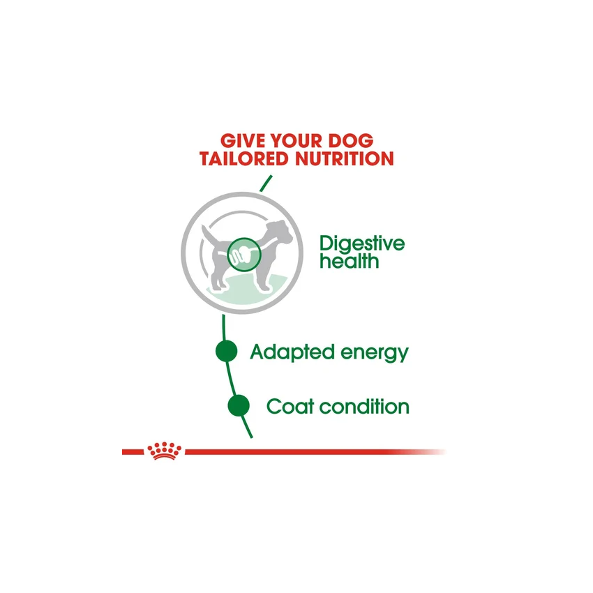 ROYAL CANIN MINI ADULT 12x85G Wet Food Royal Food