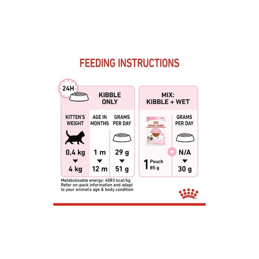 FHN KITTEN 36 Royal Canine Dry Food