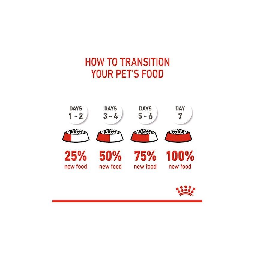 FHN KITTEN 36 Royal Canine Dry Food