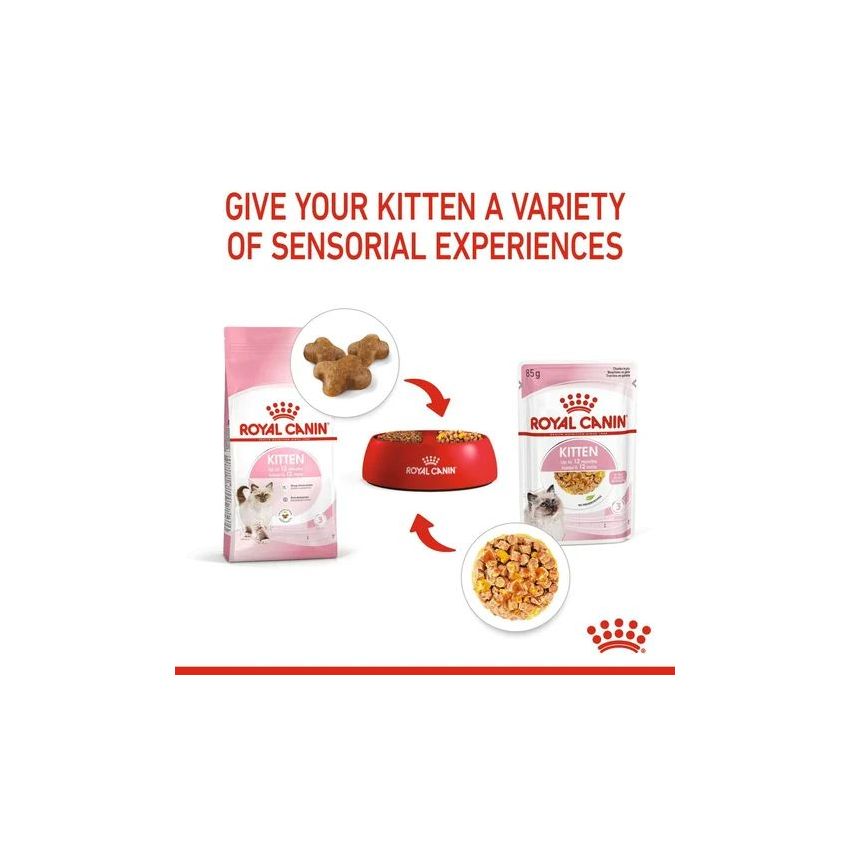 KITTEN INSTINCTIVE JELLY 85g Wet Food Royal Canine