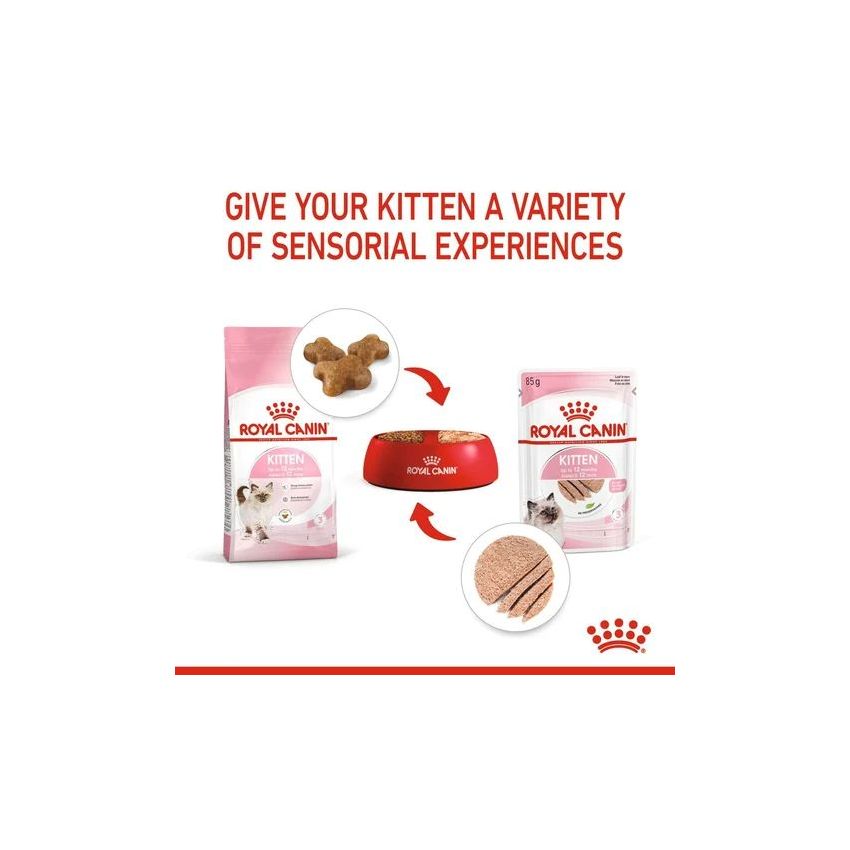 KITTEN INSTINCTIVE LOAF 85g Wet Food Royal Canine