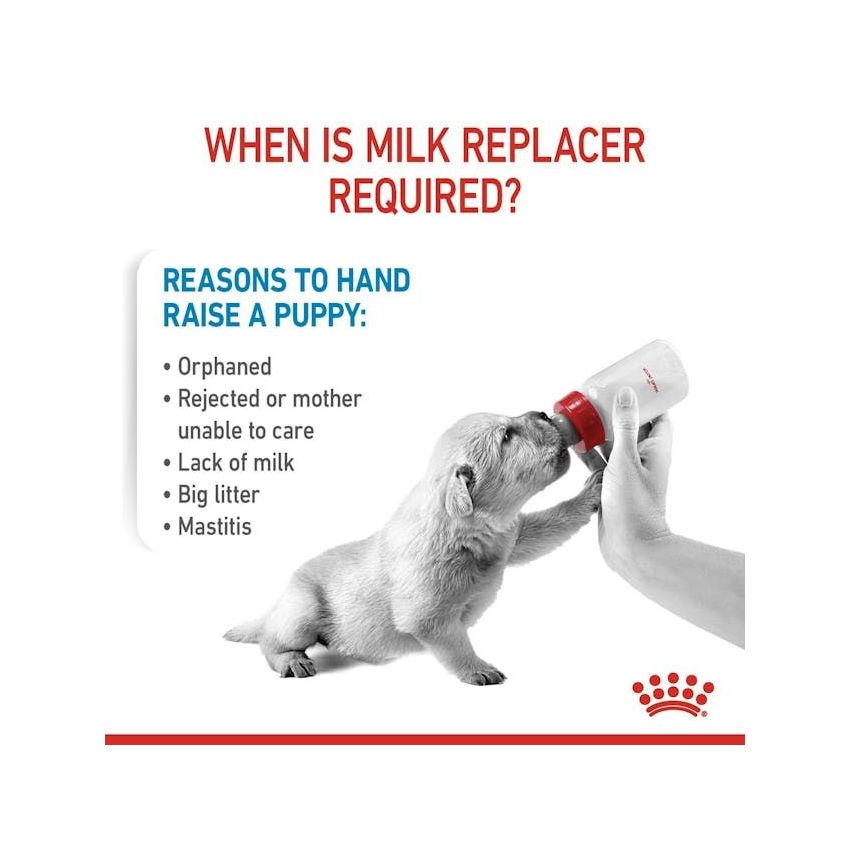 ROYAL CANIN BABYDOG MILK 400G