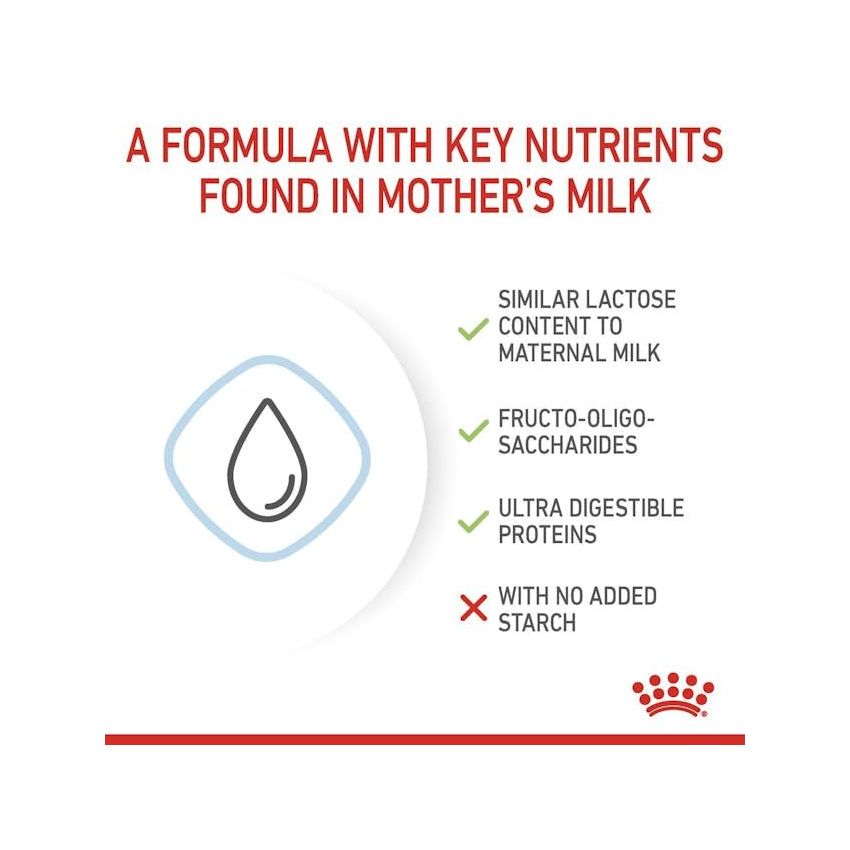 ROYAL CANIN BABYDOG MILK 400G