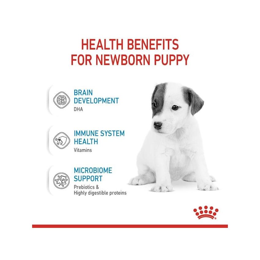 ROYAL CANIN BABYDOG MILK 400G