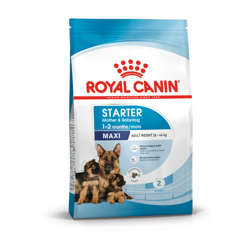 SHN MAXI STARTER Dry Food Royal Canin