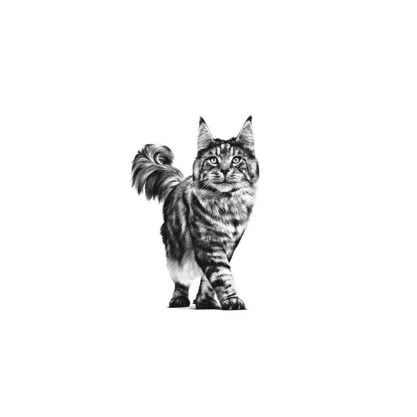 VHN CAT HEPATIC 2K Royal Canin